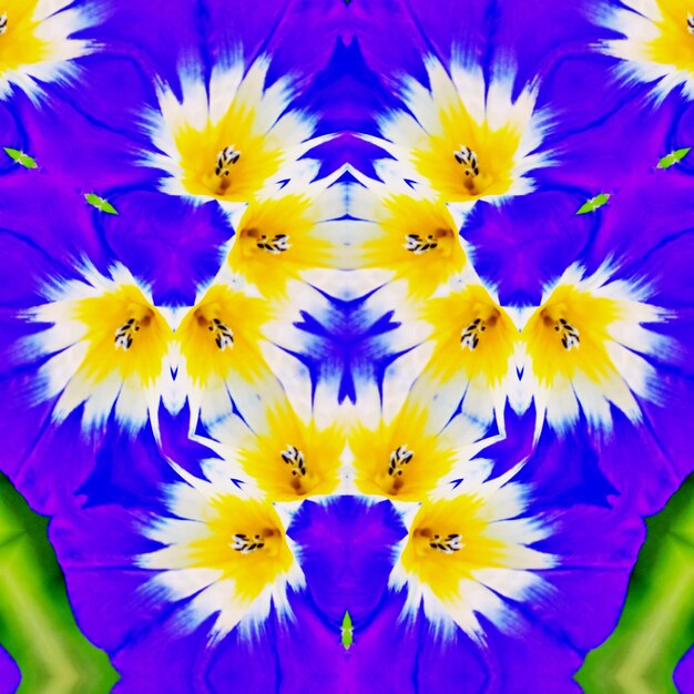 A decorative floral digital kaleidoscope pattern