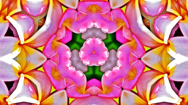 A decorative floral digital kaleidoscope pattern