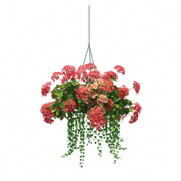 decorative flower in a pot isolated on white background, 3D illustration, cg render