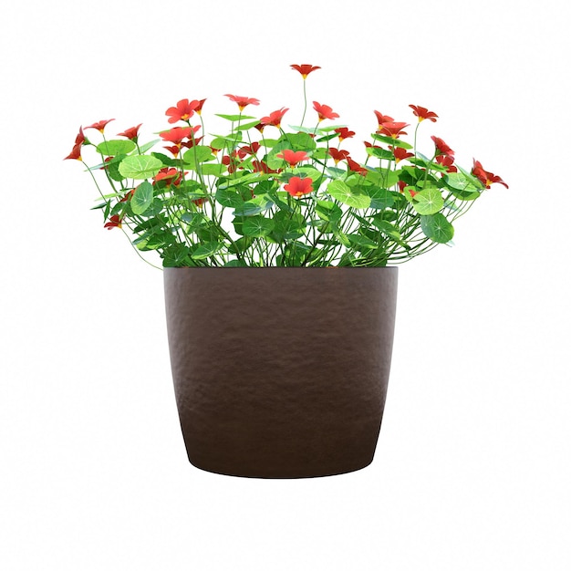 decorative flower in a pot isolated on white background, 3D illustration, cg render