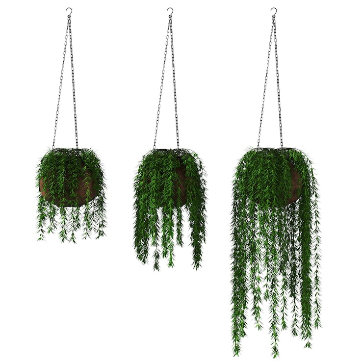 Photo decorative flowers and plants for the interior, isolated on white background, 3d illustration, cg re