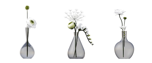 decorative flowers and plants for the interior, isolated on white background, 3D illustration, cg re