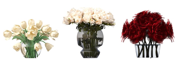 흰색 배경, 3D 그림, cg re에 격리된 실내 장식용 꽃과 식물