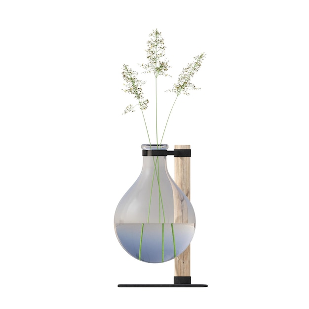 흰색 배경, 3D 그림, cg re에 격리된 실내 장식용 꽃과 식물