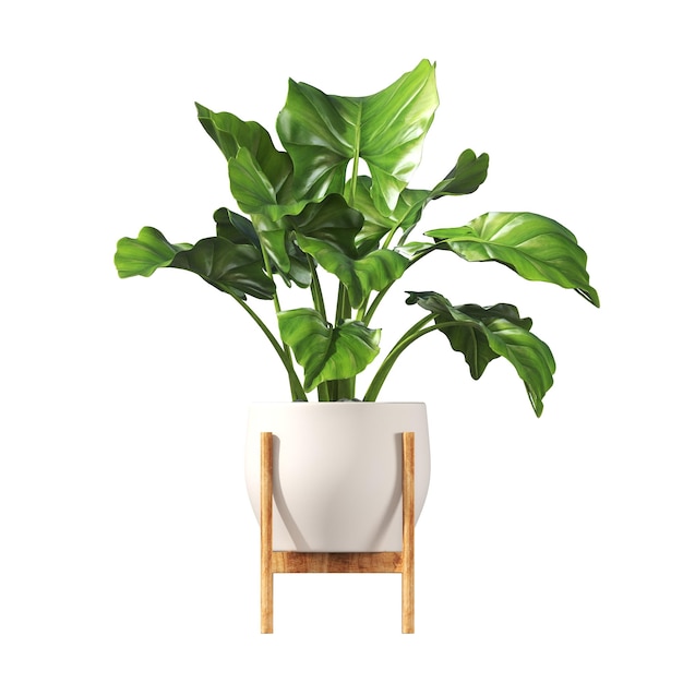 decorative flowers and plants for the interior, isolated on white background, 3d illustration, cg re
