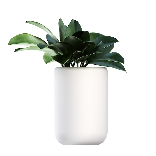 decorative flowers and plants for the interior isolated on white background 3d illustration cg re