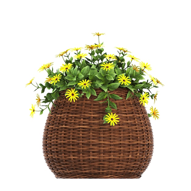 decorative flowers and plants for the interior isolated on white background 3D illustration cg re