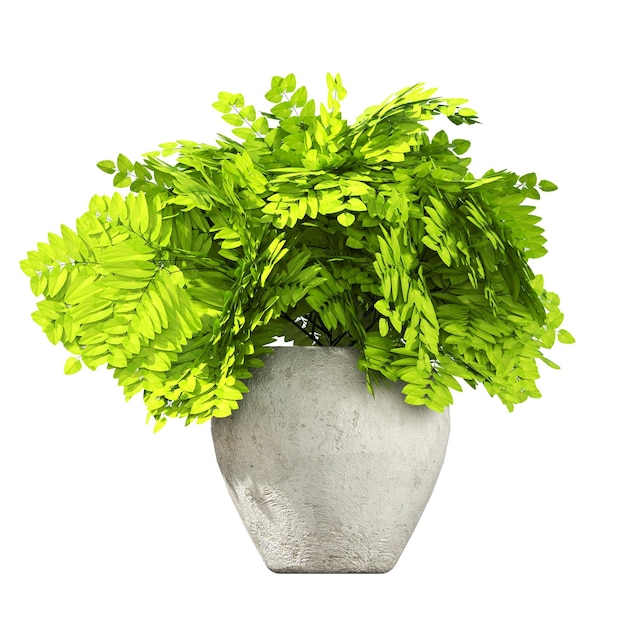 decorative flowers and plants for the interior, isolated on white background, 3D illustration, cg