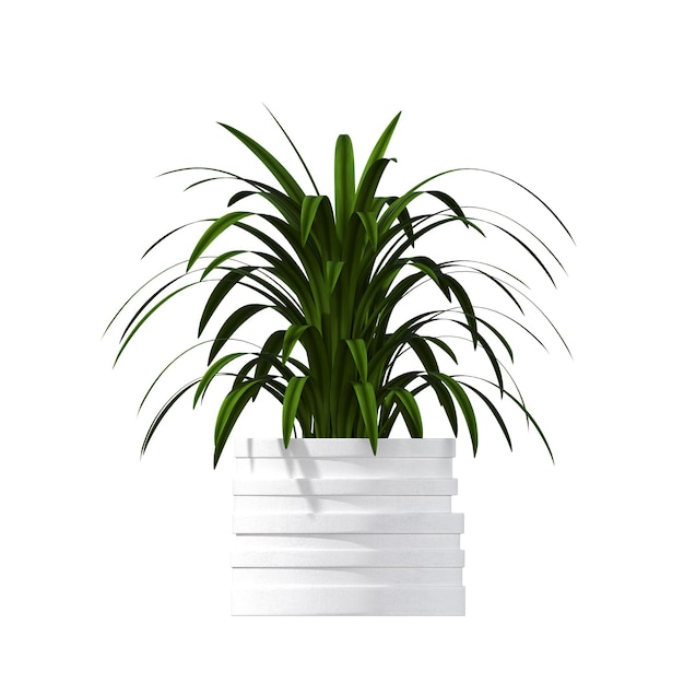 decorative flowers and plants for the interior, isolated on white background, 3D illustration, cg