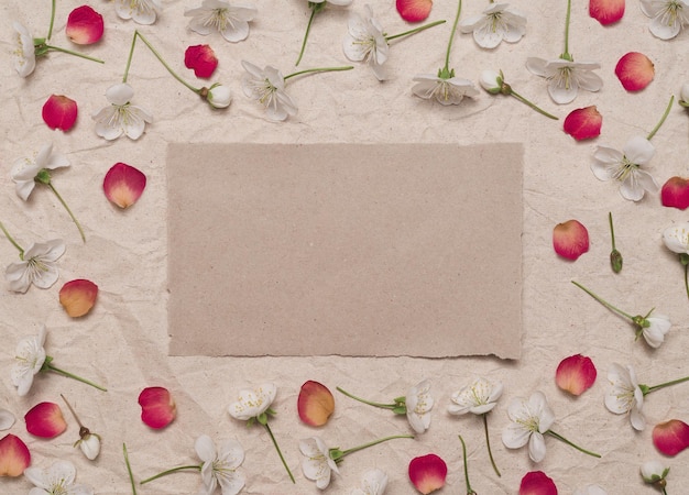 Decorative frame of white cherry flowers and red petals