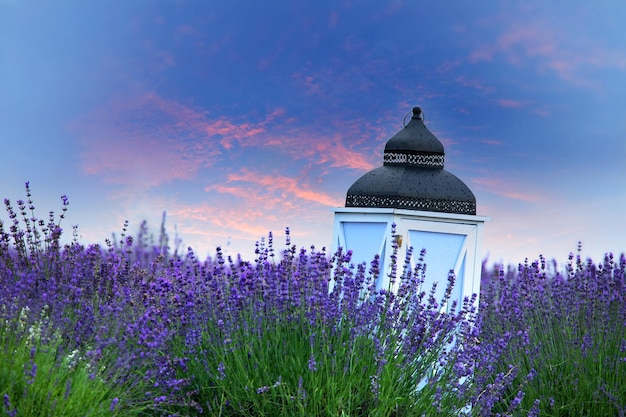 Decorative garden lantern on a lavender field, selective focus.