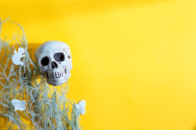 사진 인간의 두개골, 건조 식물 및 종이 장식 할로윈 파티 엽서는 노란색 배경, 복사 공간에 유령을 잘라. 평면도.