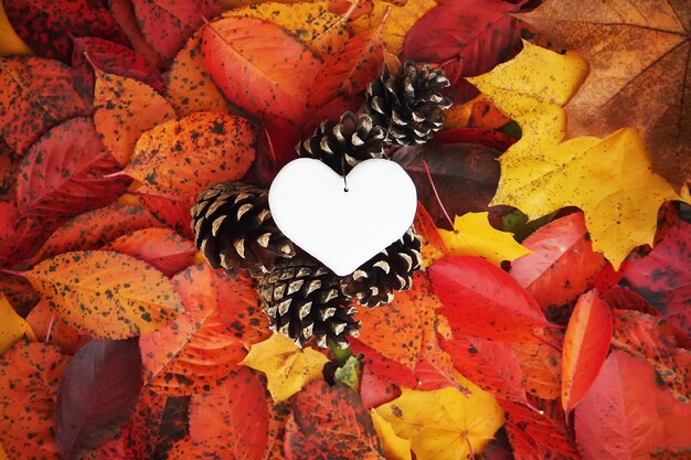 Decorative handmade heart on colorful autumn leaves