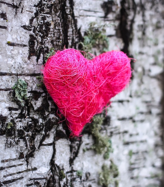 Decorative heart on birch tree bark.