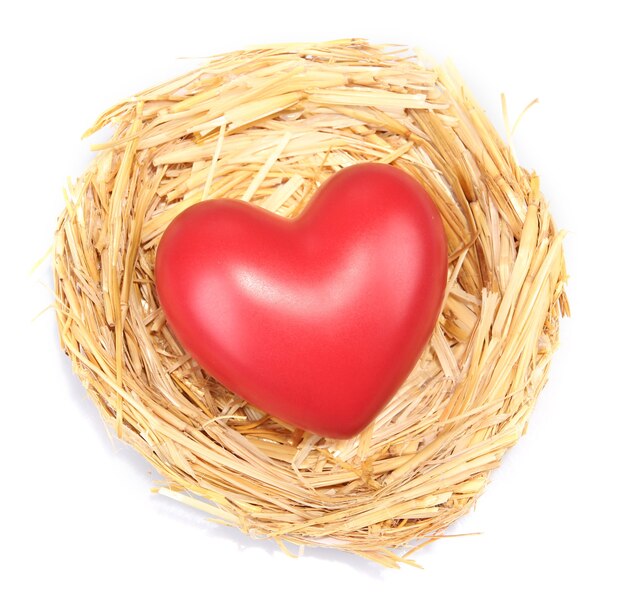 Decorative heart in nest, isolated on white