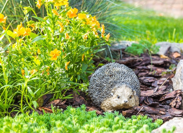 Decorative hedgehog garden decor Ceramic statue on a flowerbed