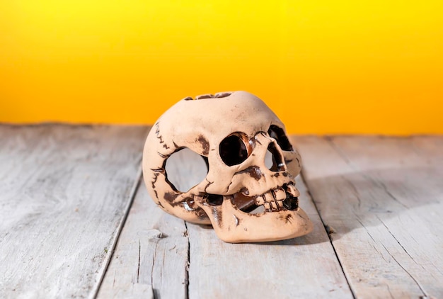 Decorative human skull lies on old boards