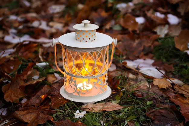 Decorative lantern with burning candle in autumn park at evening.