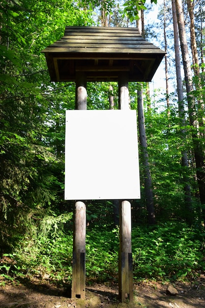 Photo decorative large signpost of three horizontal boards with blank space for inscriptions on each of them against a background of green grass