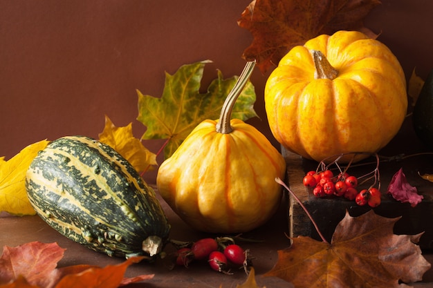 ハロウィーンのための装飾的なミニカボチャと紅葉