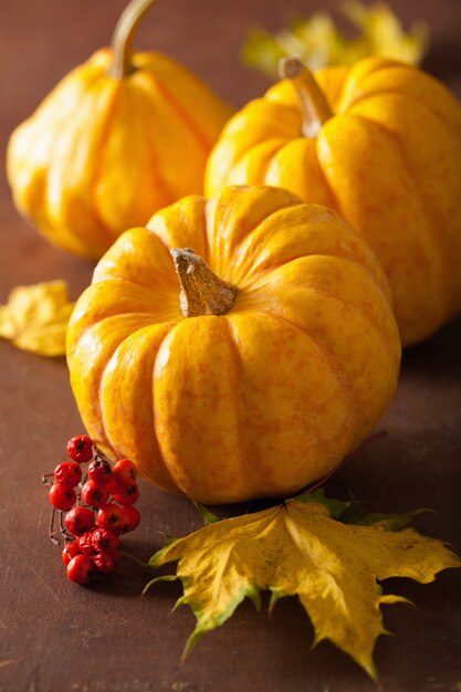 Decorative mini pumpkins and autumn leaves for halloween