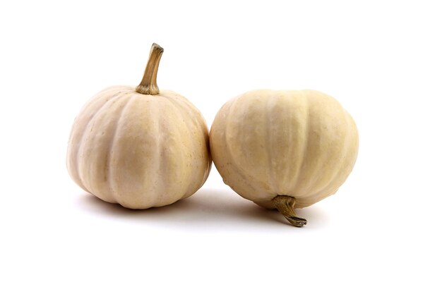 Decorative mini pumpkins isolated on white background