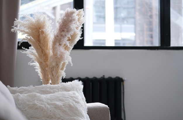 Decorative pampas grass, reeds in a vase in front of big window and close to the sofa. Photo