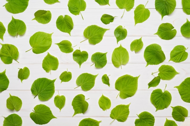 녹색 잎의 장식 패턴