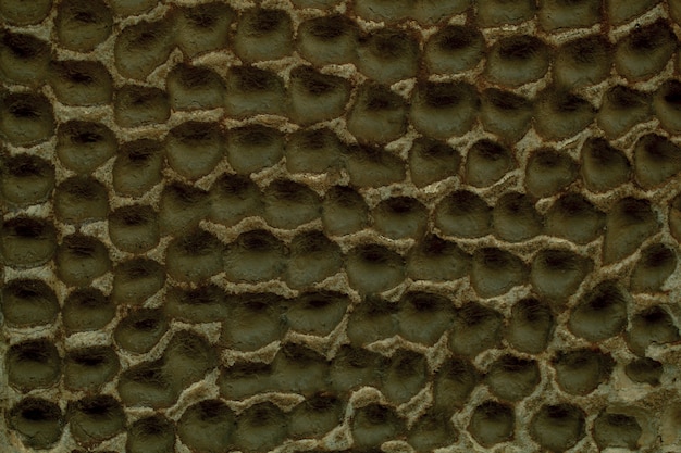 Decorative plaster on a wall with honeycomb effect