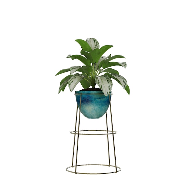 decorative potted plants on a white background