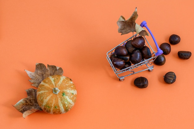 Decorative pumpkin and chestnuts in shopping mini basket on orange. Flat lay