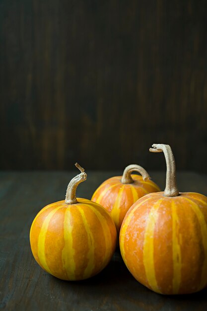 Decorative pumpkin on the table. 