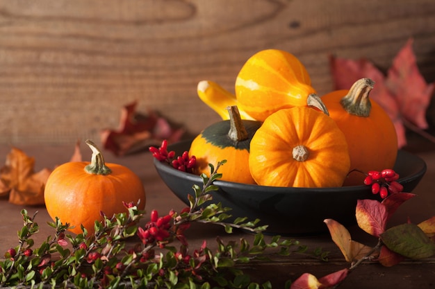 Decorative pumpkins and autumn leaves for halloween