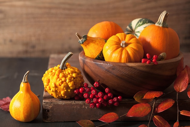 Decorative pumpkins and autumn leaves for halloween