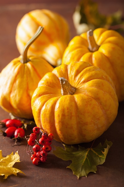 Decorative pumpkins and autumn leaves for halloween