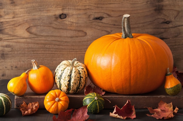 Decorative pumpkins and autumn leaves