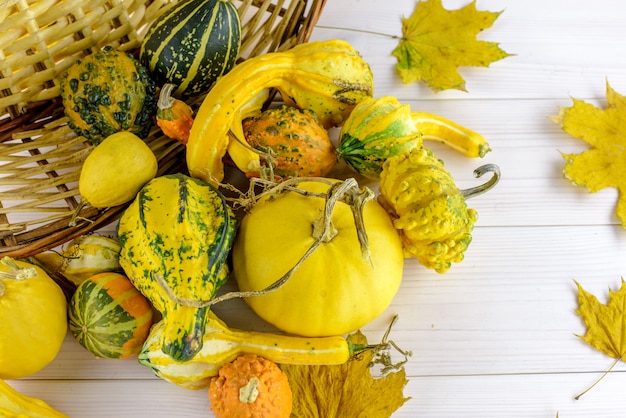 Decorative pumpkins and gourds in a basket