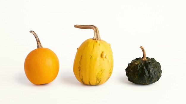 Decorative pumpkins on a white background