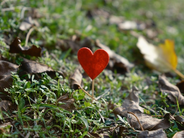 Decorative red heart on the grass