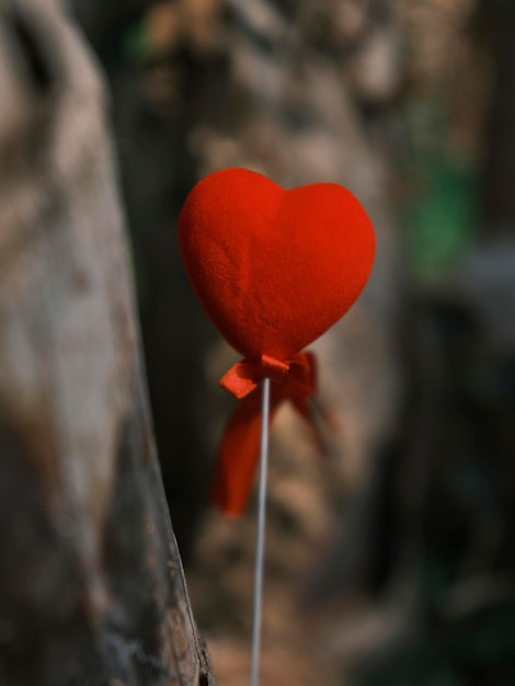 Decorative red heart on a tree