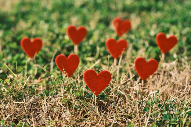 Photo decorative red hearts on the grass