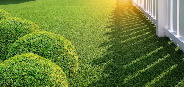 Decorative round shrubs on Green Artificial Turf and white wooden Picket in Front Yard area