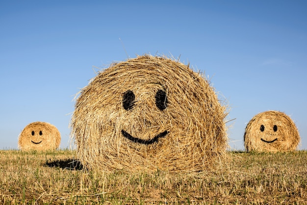 Decorative sad straw bales for harvest festival