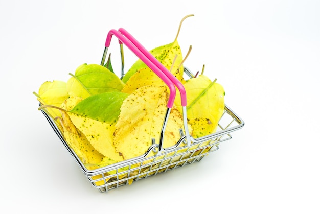 Decorative shopping basket with autumn leaves