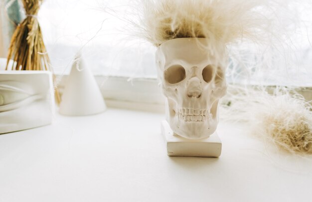 Photo decorative skull sculpture with funny artificial hair