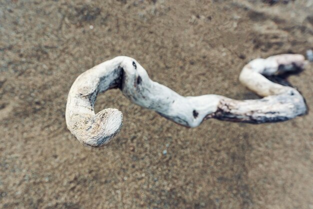 a decorative structure of wood with fibers parts of the trunk of a tree branch imitation of a snake