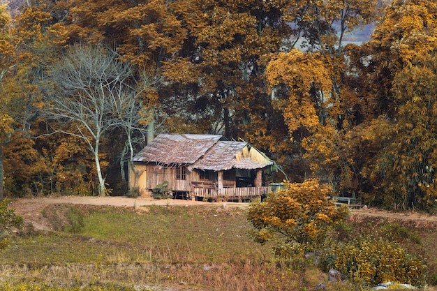 Photo decorative timbered log hut under a thatched roof in the autumn forest