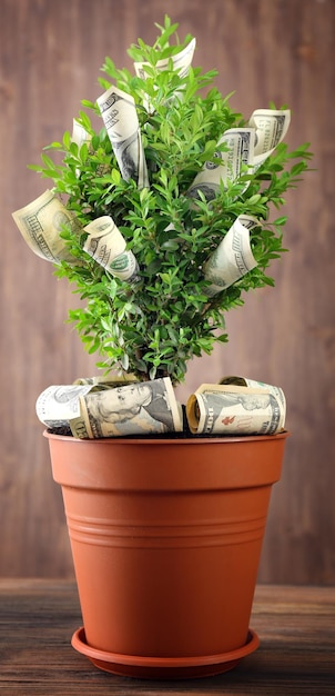 Decorative tree in pot with money on wooden background