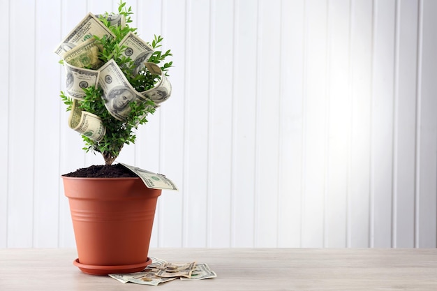 Photo decorative tree in pot with money on wooden background
