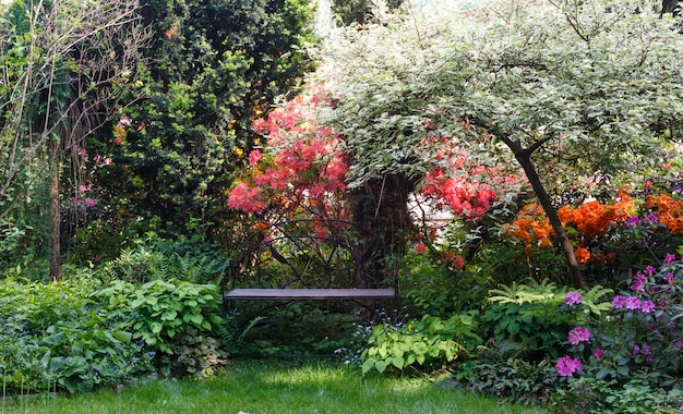 装飾的な木低木と庭の花